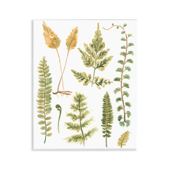 Stupell Industries Varied Fern Leaves Botanical & Floral Painting Unframed Art Print Wall Art, 11 x 14