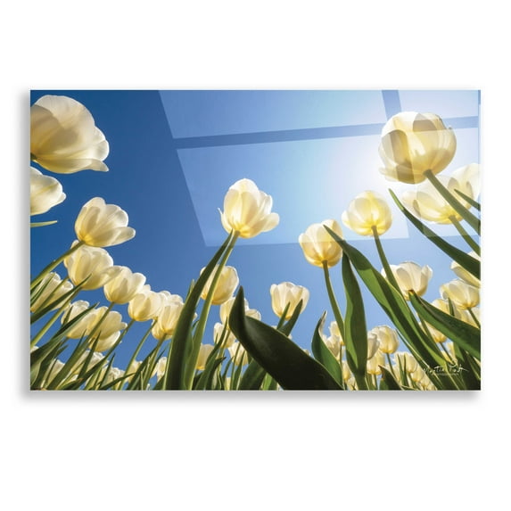 Epic Art 'Look Up in White' by Martin Podt, Acrylic Glass Wall Art, 16"x12"