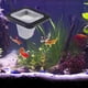 thumbnail image 2 of Aro de alimentación para peces de acuario Círculo flotante con ventosa Fácil de instalar, Forma redonda cuadrada y redonda, Gusano de sangre Gusano de la harina, 2 of 5