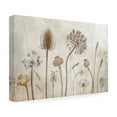 thumbnail image 3 of Trademark Fine Art Mandy Disher Growing Old Canvas Wall Art - 16x24, 3 of 5