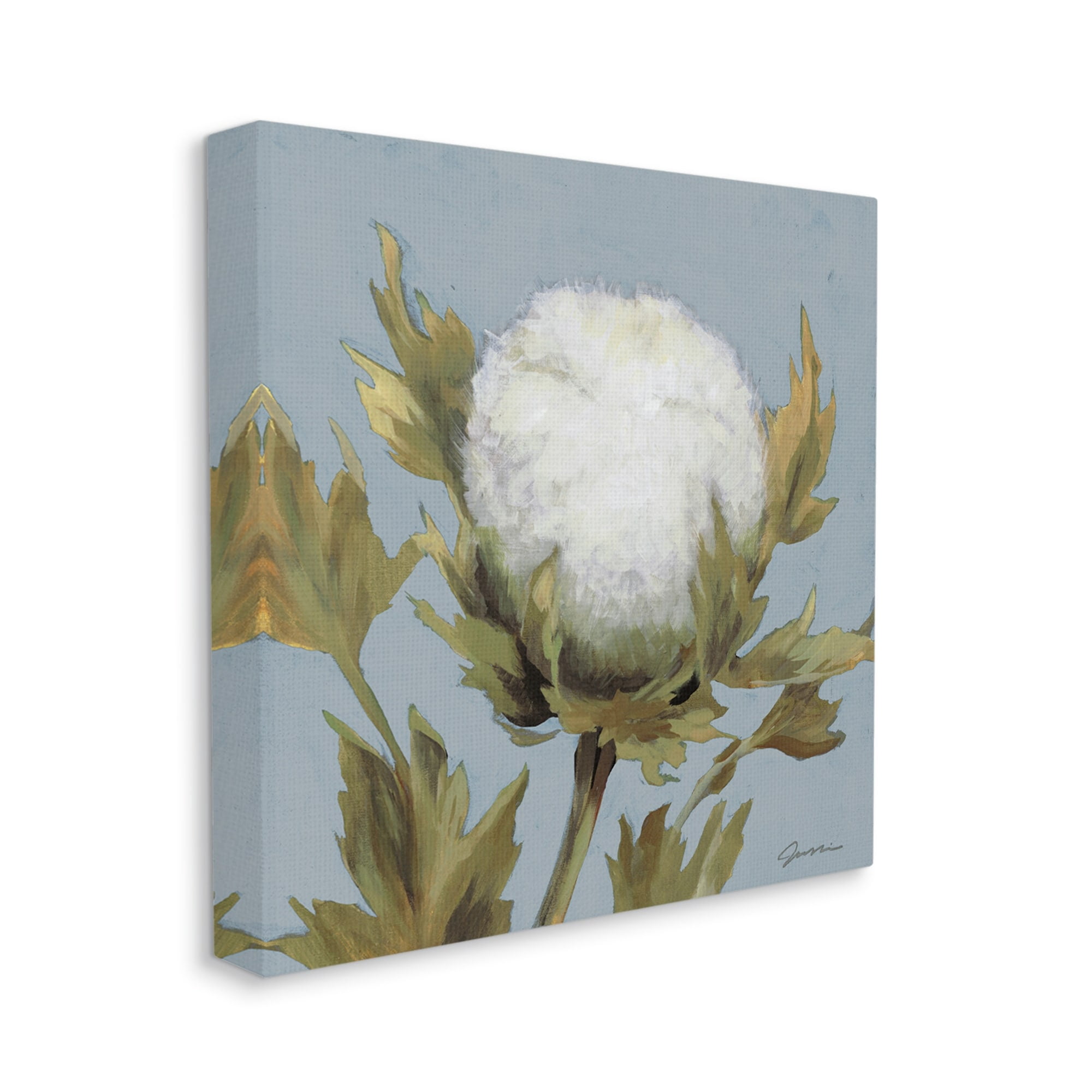 Stupell Industries Cotton Flower Blooming Nature Botanical & Floral Painting Gallery Wrapped Canvas Print Wall Art