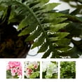 thumbnail image 4 of Pure Garden Boston Artificial Fern Plant Hanging Natural in Green, 4 of 6