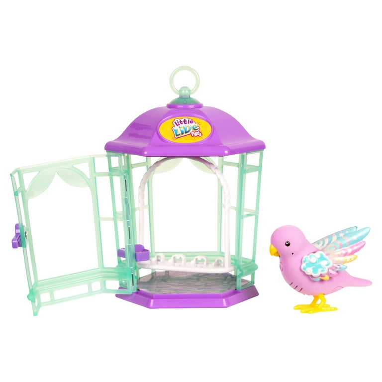 Little live bird cage hot sale