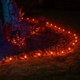 thumbnail image 2 of Wintergreen Lighting C7 Orange OptiCore Smooth LED Pathway Light Kit, 25 Lights, 12" Spacing, Black Wire, 25 ft, 2 of 8