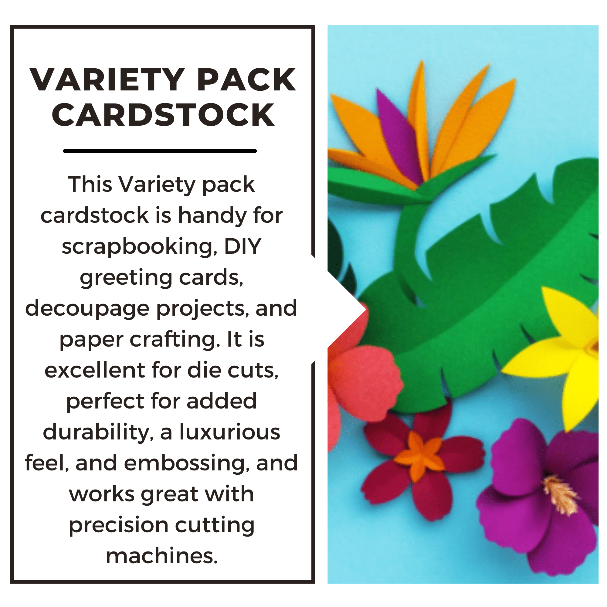 Paper Accents Super Value Variety Pack 12"x 12" 150pc
