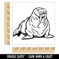 thumbnail image 2 of Chubby Pacific Walrus Square Rubber Stamp Stamping Scrapbooking Crafting - Medium 1.75in, 2 of 7