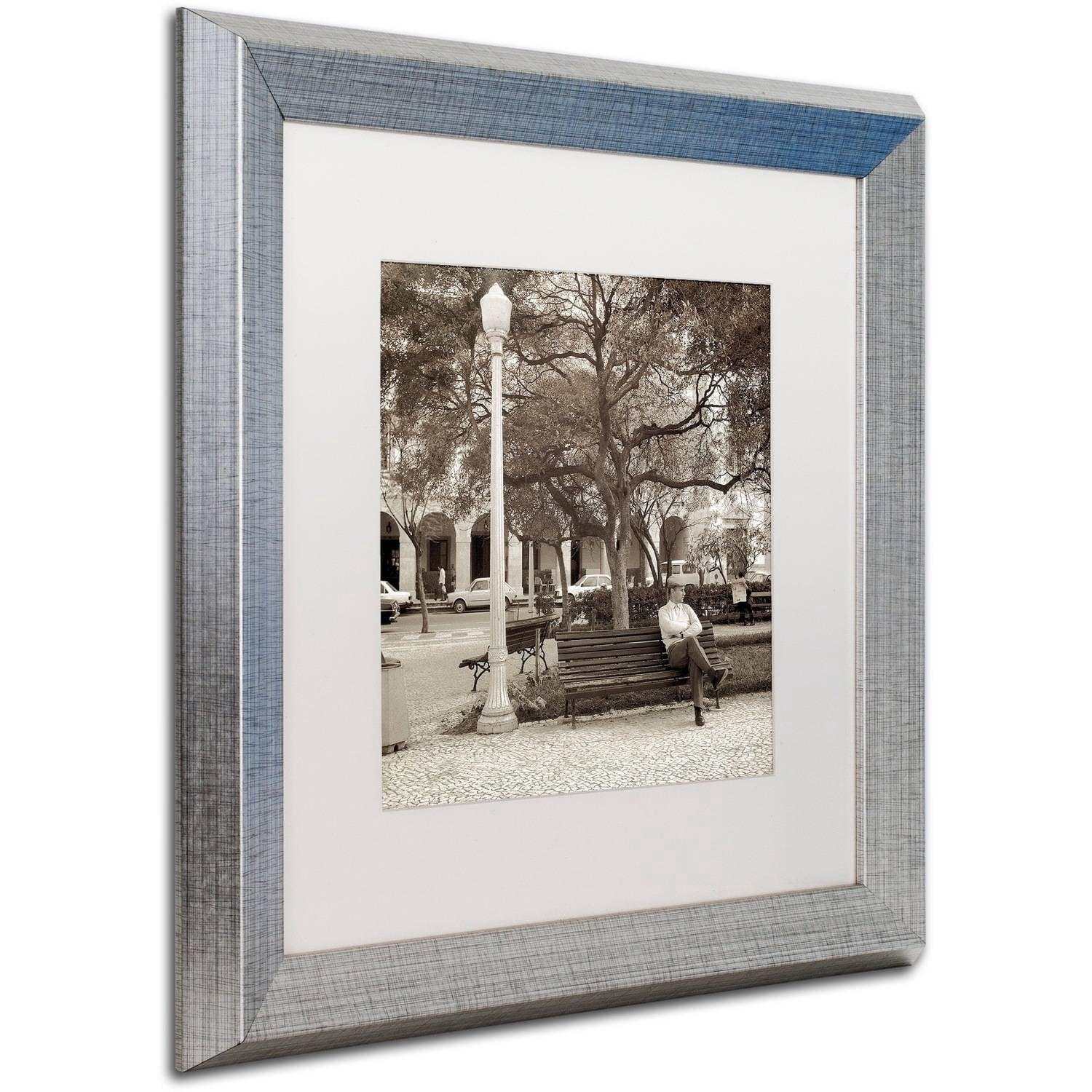 Trademark Fine Art "Faro I" Canvas Art by Alan Blaustein, White Matte, Silver Frame