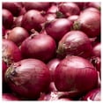 thumbnail image 3 of Everwilde Farms - 500 Red Burgundy Onion Seeds - Gold Vault Jumbo Bulk Seed Packet, 3 of 5