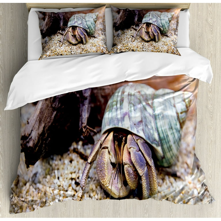 Hermit crab bedding 2025