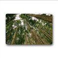 thumbnail image 1 of RYLABLUE Natural Plant Tree Doormat Floor Mats Rugs Outdoors/Indoor Doormat Size 30x18 inches, 1 of 1