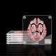 thumbnail image 3 of Brain Specimen Coasters Set 3D Organ Brain Artwork Brain Slices Square Acrylic Drinks Table Coaster, 3 of 5