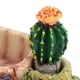 thumbnail image 5 of Tazón De Fuente De Agua Aspecto Exquisito Tazón De Alimentación, Plato De Alimentación, Mascotas Para Reptiles, 5 of 8