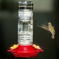 thumbnail image 6 of Perky-Pet Red Window Mounted Glass Hummingbird Feeder - 14 oz Capacity, 6 of 12