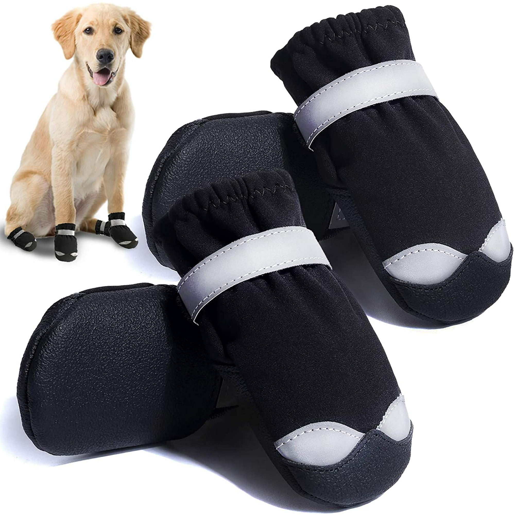 When Do Dogs Need Boots