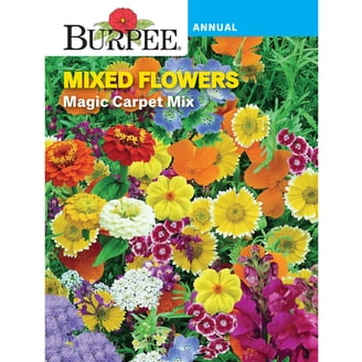 Rocky Mountain Wildflower Seed Mix - 5 Gram Packet - 22 Wild Flower Seed  Varieties - Annuals, Perennials and Bi-Annuals - Flower Garden - Walmart.com