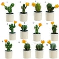 thumbnail image 3 of Visland Artificial Cactus Plants, Mini Fake Desert Plants in White Pots, 3 of 3