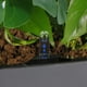 thumbnail image 5 of Maceta rectangular sencilla con autorriego para hierbas, ideal para el hogar, la oficina, la mesa o la cafetería. Nivel de agua negra, 5 of 7