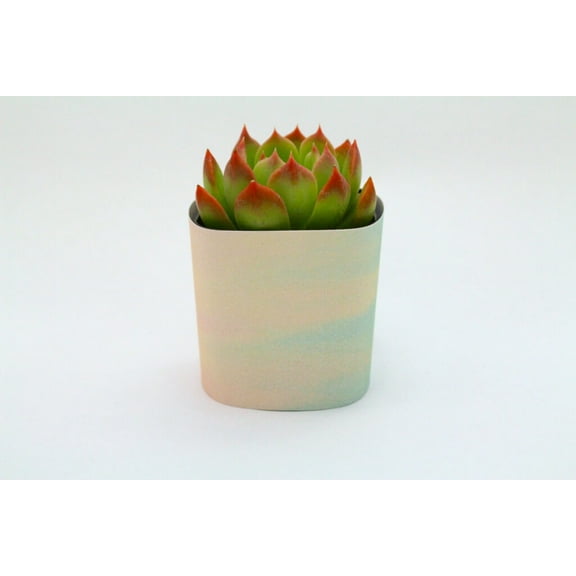 Plants Of Joy Watercolor Print Succulent Wraps for Weddings, Baby Shower, and Party Favors. 25 Count Pack.