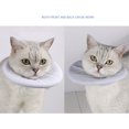 thumbnail image 2 of EastVita Soft Cat Recovery Collar, Adjustable Cat Cone Collar Soft, Lightweight Pet Cone Collar Prevent Licking Bite Protective Cone Collar, Cat Cones After Surgery for Kittens, 2 of 7