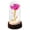 Hot Pink, variant on Valentines Gifts for Her,Birthday Gifts for Women,Valentines Day Flowers Gifts for Mom,Women,Her,Wife,Grandma,Light Up Rose in Glass Dome,Colorful Rainbow Mothers Day Flowers for Delivery