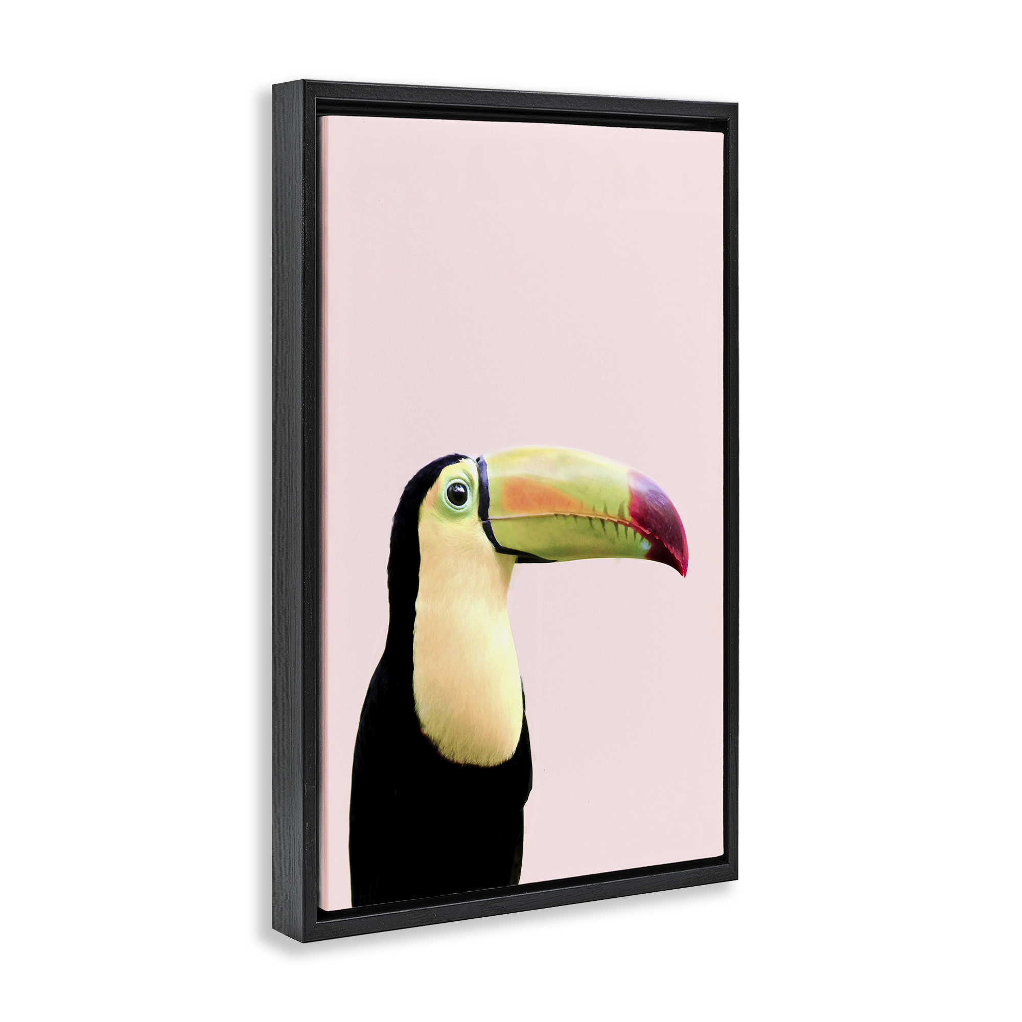 Stupell Industries Pastel Toucan on Pink Animals Painting Black Floater Framed Canvas Art Print Wall Art, 21 x 31