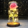 thumbnail image 2 of Rosa de La Bella y La Bestia para Navidad, rosa de galaxia encantada LED con luces en cúpula, regalo del Día de San Valentín, día de la madre, 2 of 6