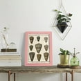 thumbnail image 5 of Cone Shell pl. 318 -Framed Print w/glass-Sunset Pink, 5 of 7
