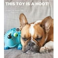 thumbnail image 5 of Outward Hound Tootiez Grunting Hedgehog Dog Toy, Blue, Large, 5 of 6