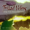 Tribal Voices: Music From Native Americans