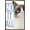 Bronze Framed Version, variant on Grumpy Cat - Blue Wall Poster, 14.725" x 22.375", Framed