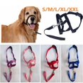 thumbnail image 1 of Dog Pet Head Collar Gentle Halter Leash Leader No Pull Straps For Training Dogs Outdoor Tool zhangyuxiang LED, 1 of 2
