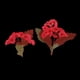thumbnail image 3 of Flores secas prensadas Strade Fareast Limited 6x10 piezas, 3 of 5