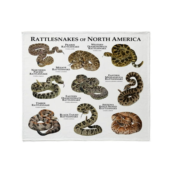 CafePress Fleece Blanket White Polyester Throw, 50" x 60"