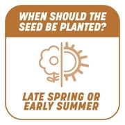 Pennington Smart Patch Centipede Seed Mix 5 lb