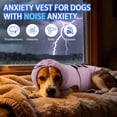 thumbnail image 6 of Anxiety Vest for Small Dogs | Dog Calming Vest for Separation,Soft Dog Anxiety Shirt,Anxiety Jacket for Dogs with Ear Wrap to Reduce Noise Stress,Fireworks,Thunderstorm, 6 of 7