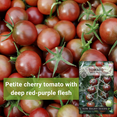 thumbnail image 3 of Black Cherry Tomato Seeds for Planting - Non GMO Heirloom Varieties for your Vegetable Garden, 3 of 5