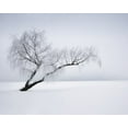 thumbnail image 2 of Anonymous 32x26 White Modern Wood Framed Museum Art Print Titled - Solitude, 2 of 4