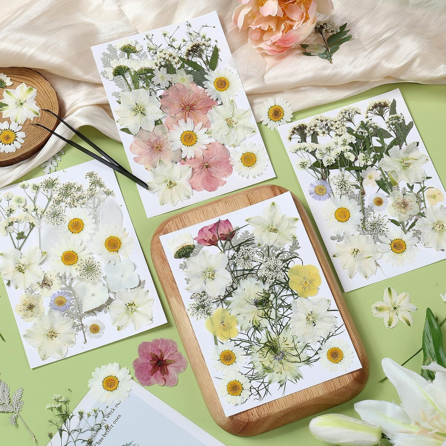 86Pcs Dried Flowers for Crafts, Real Pressed Flowers for Crafts Dried Pressed Flowers Dry Leaves in White, Pink & Yellow Tones for Resin, DIY Art, Scrapbook, Jewelry, Candle & Soap Making with Tweeze