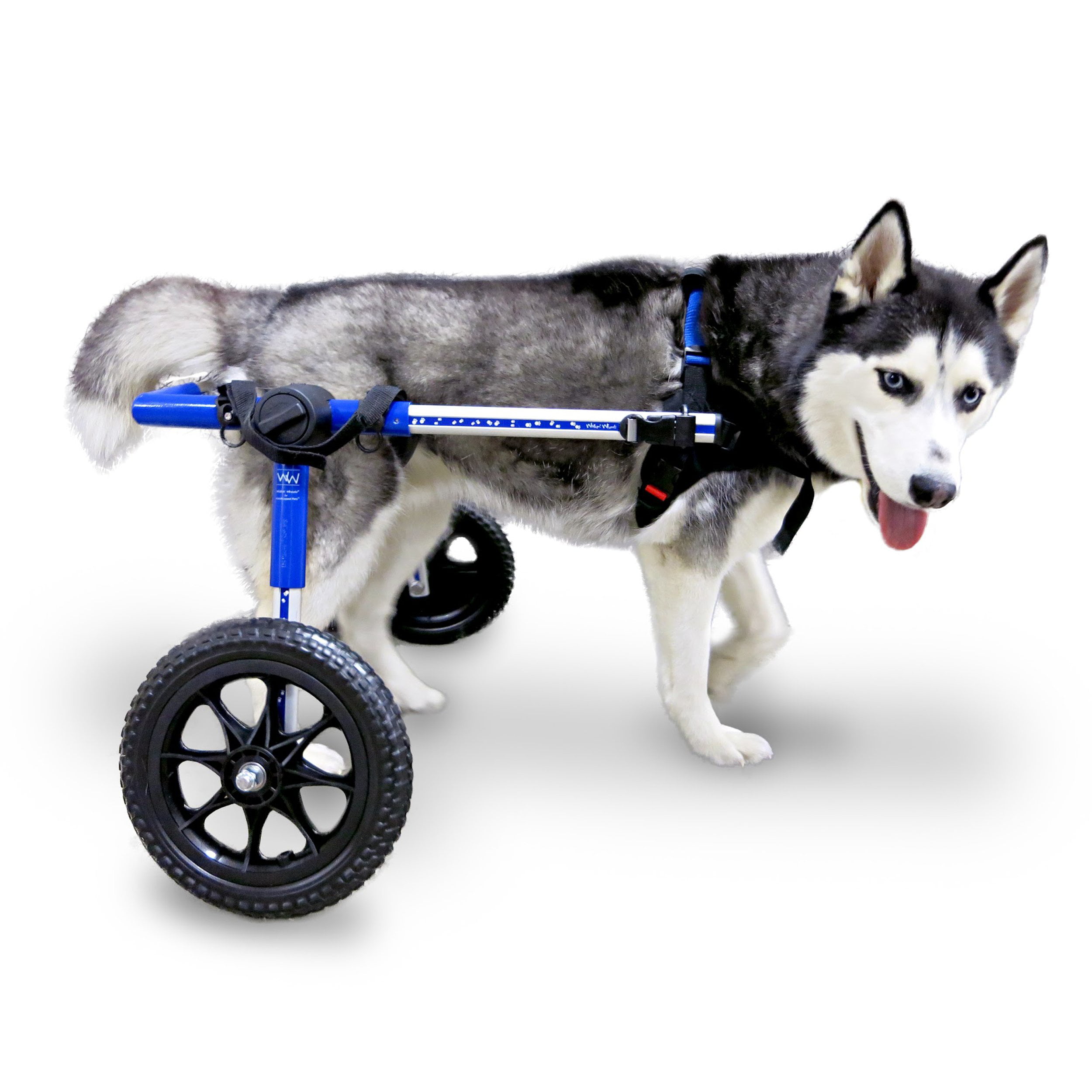 Walkin' Wheels Dog Wheelchair for Med/Large Dogs 5069