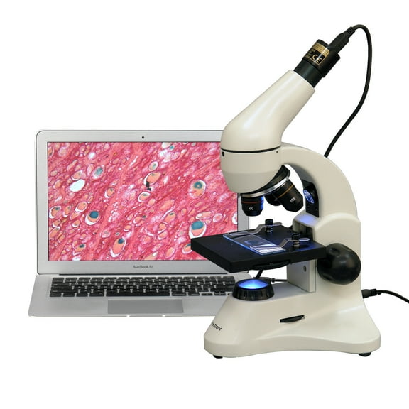 AmScope 40X-1000X Dual Light All-Metal Optical Glass Lens Metal Framework Science Microscope   USB Camera New