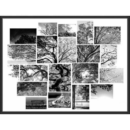 ebern designs grayscale tree collage framed graphic art print on
