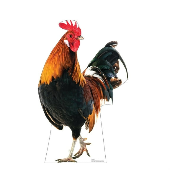 Cardboard People Rooster Life Size Cardboard Cutout Standup - Made in USA