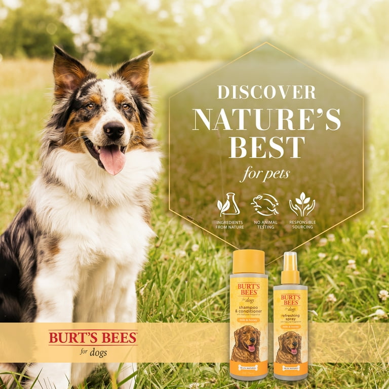 Burt's bees clearance dog shampoo recall