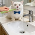 thumbnail image 4 of BotaniNest Head Toothbrush With Soft Silicone For And And Oral Hygiene Cleaning, 4 of 7