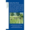 thumbnail image 4 of Traditional Medicinals Organic Nighty Night Valerian Herbal Tea - 16 bags per pack - 6 packs per case., 4 of 9