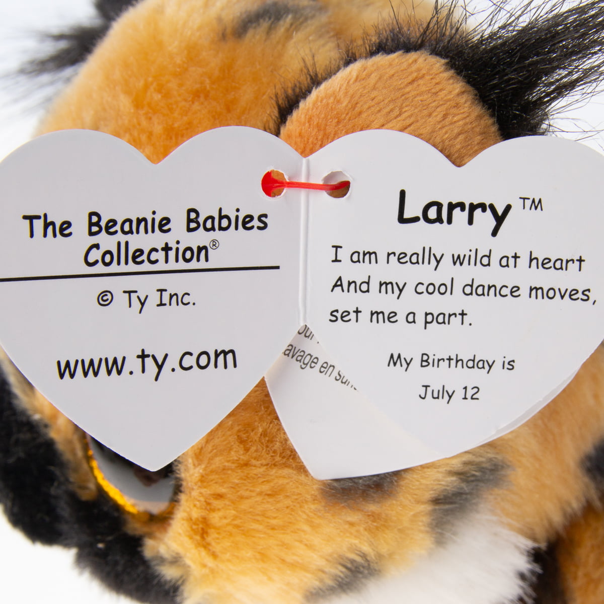 Larry Lynx Beanie Babies 8 Inch Stuffed Animal by Ty 41205 for sale online 