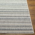 thumbnail image 5 of Livabliss Outdoor Rugs, 4x6 Eagean Global Oatmeal Area Rug for Patio, Porch, Deck, Backyard, Waterproof Indoor Outdoor Carpet (4'3" x 5'11"), 5 of 5