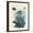 Brown Frame, variant on Art.com Fish Blue Shells and Corals Art Print by Fab Funky, 12" x 16"