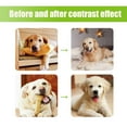thumbnail image 5 of Pet Anti-Chew Spray for Dogs & Cats Natural Bitter Apple Formula Safe & Effective Training Aid 1.69 Fl Oz, 5 of 6