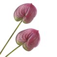 thumbnail image 2 of Accesorios simulación impresión 3D trompeta sensación de mano anthurium sala de estar decoración del hogar ramo de simulación flamenco palma blanca ANGGREK  Otros, 2 of 8